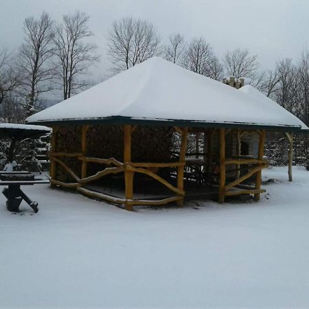 Karpaty Viking Motel Nizhneye Sinevidnoye Luaran gambar