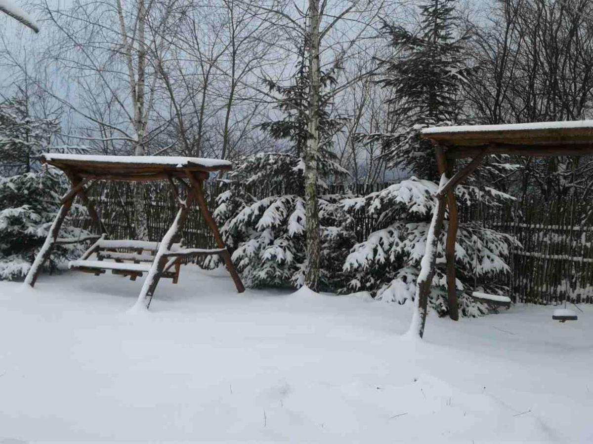 Karpaty Viking Motel Nizhneye Sinevidnoye Luaran gambar