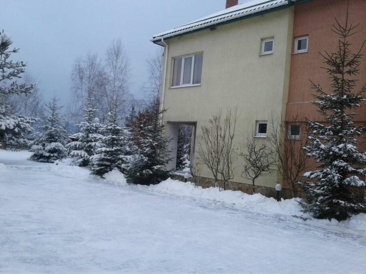Karpaty Viking Motel Nizhneye Sinevidnoye Luaran gambar